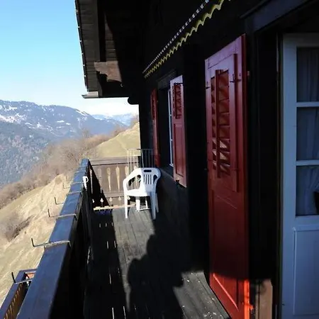 Attractive With A Beautiful View * Trans