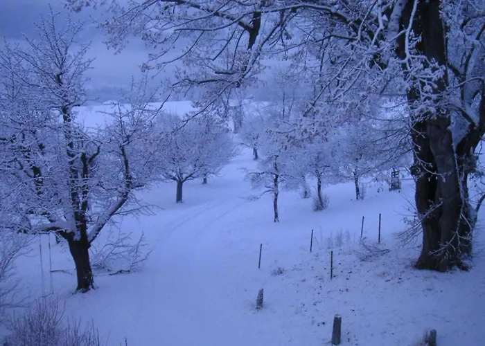 Apartamento In Village